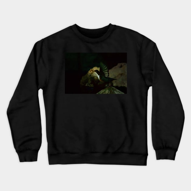 FLIGHT POWER Crewneck Sweatshirt by dumbodancer